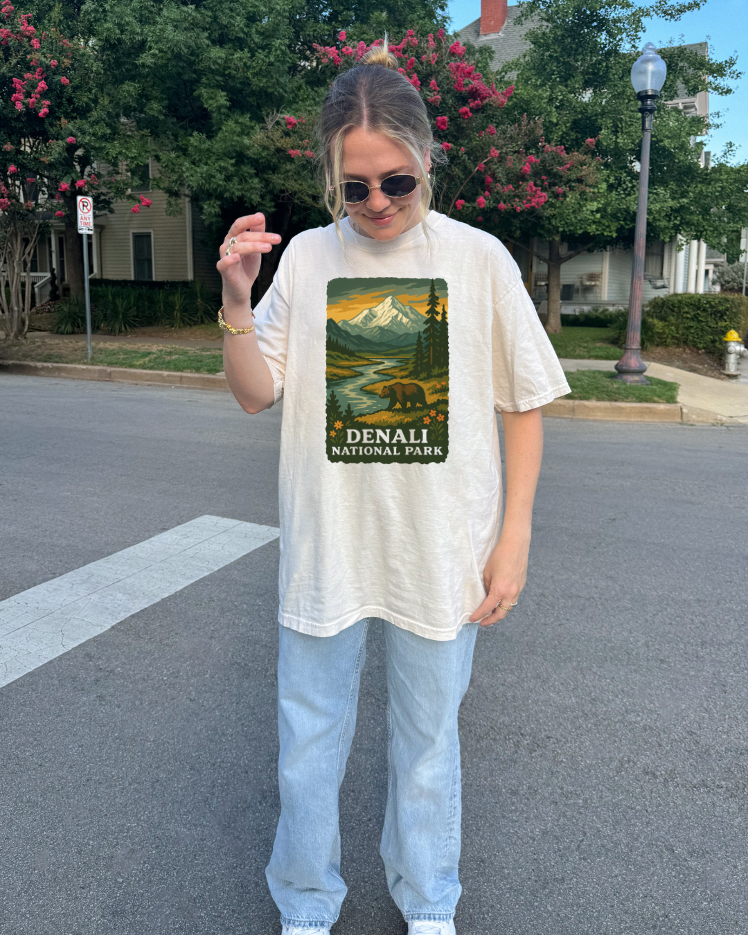 Denali National Park T-Shirt