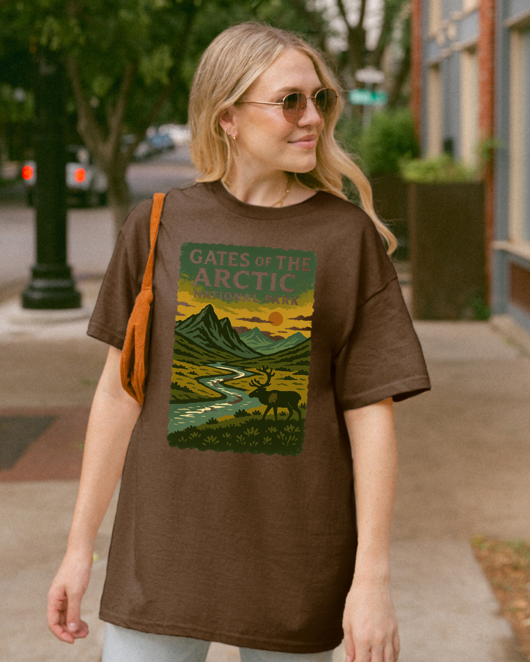 Gates of the Arctic National Park T-Shirt